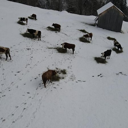 Casa Agroturistica Tarancuta Din Vatra Moldovitei Hotel Bagian luar foto